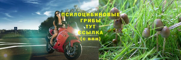 таблы Нефтегорск