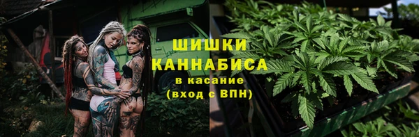 дживик Нефтекумск